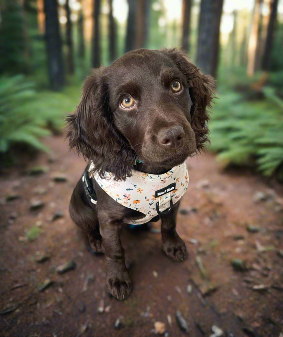 Wildflower Pull Over Trail Harness