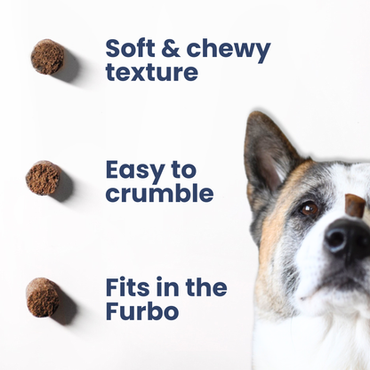 Healthybud's Functional Beef Dog Treats: 4.6oz