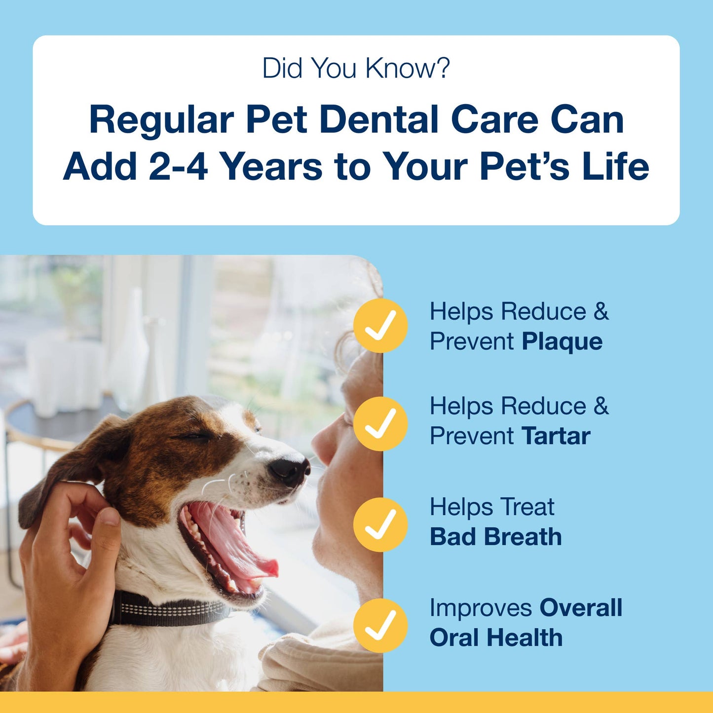 ProDen PlaqueOff System™ Dental Care Bones Single