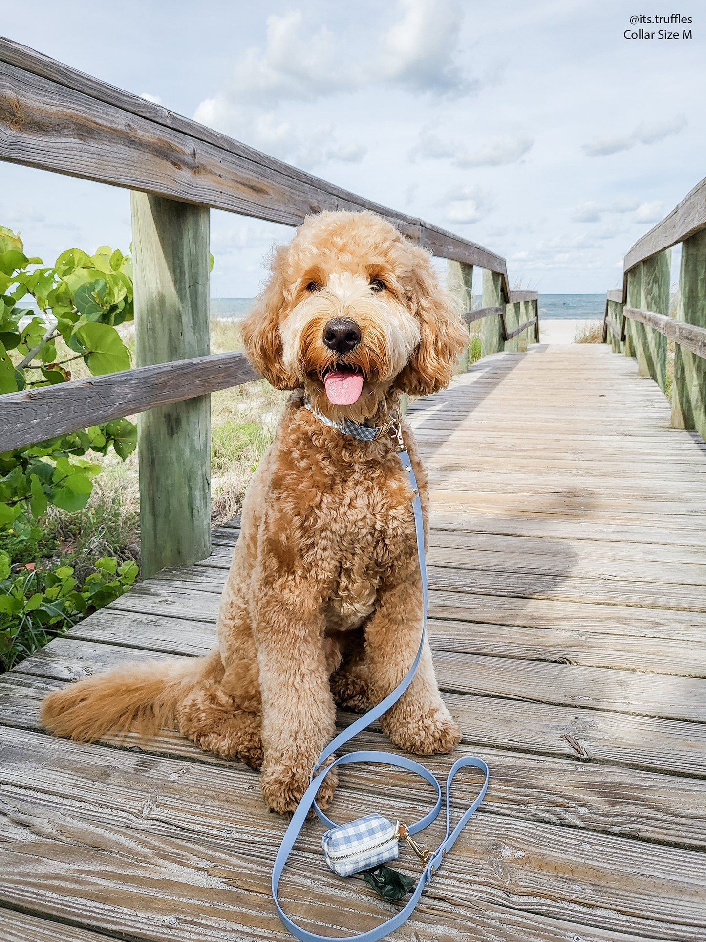 Dog Leash Waterproof - Malibu Blue |5 FT