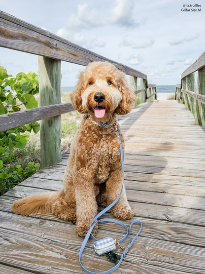 Dog Leash Waterproof - Malibu Blue |5 FT