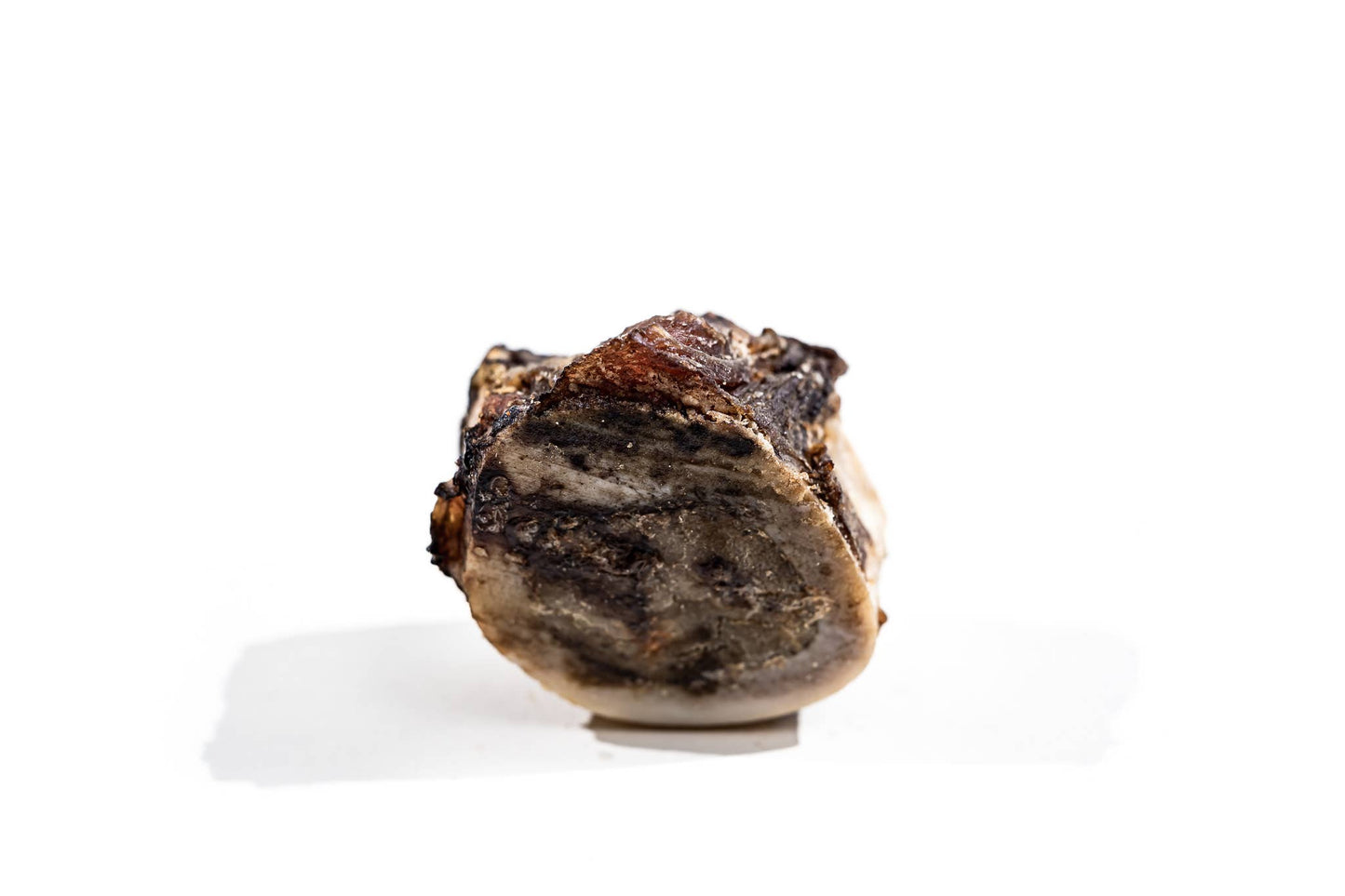 Winnie Lou Bison Marrow Bone - 2"