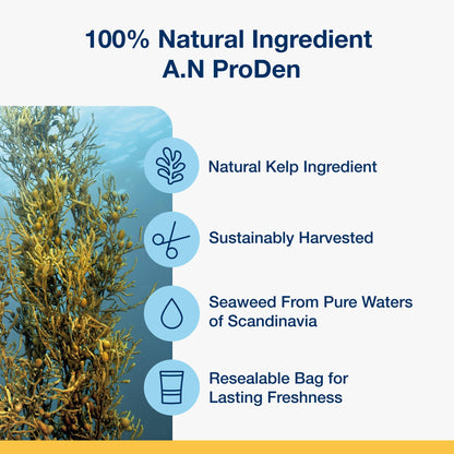 ProDen PlaqueOff System™ Dental Care Bones Single
