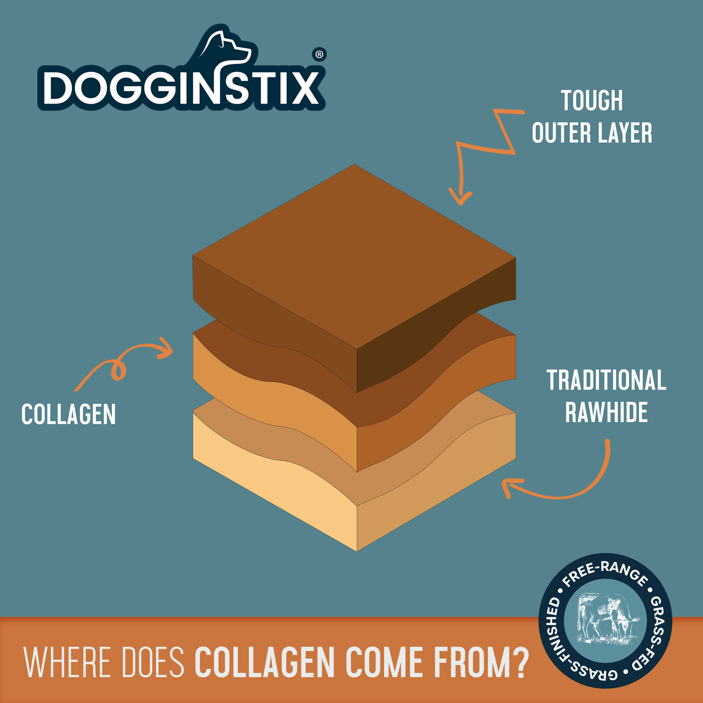 Lamb Collagen - Cosmic Donut