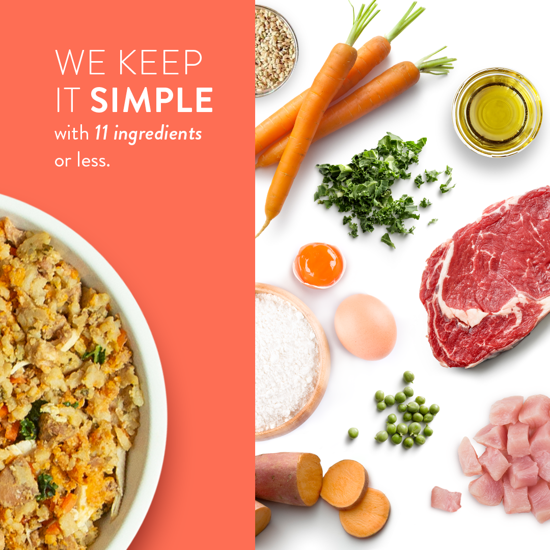 Portland Pet Food Tuxedo's Chicken & Yams Wet Food Dog Pouch