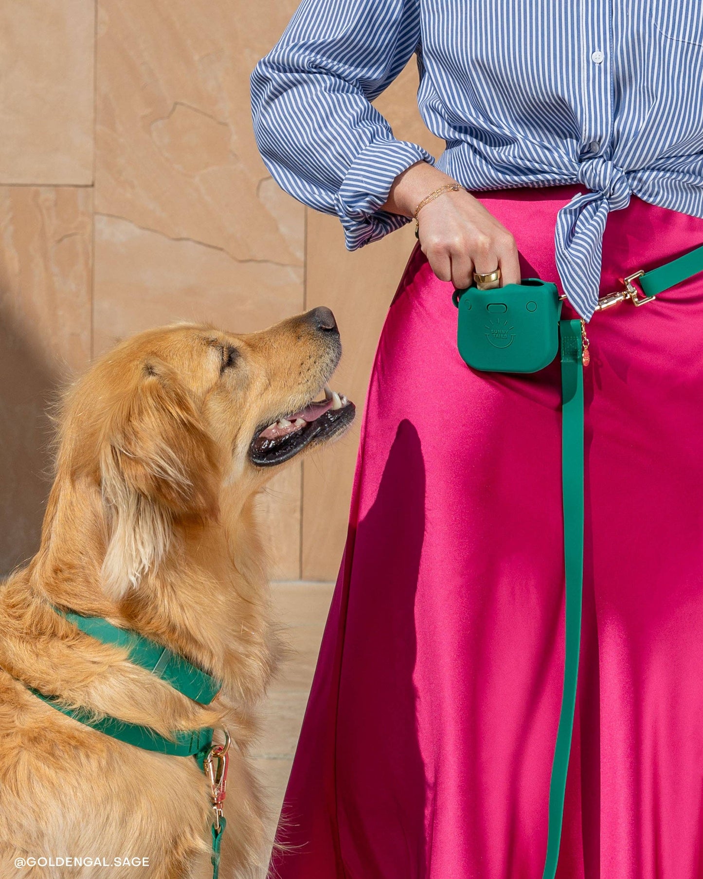 Meadow Green Snap Dog Treat Pouch
