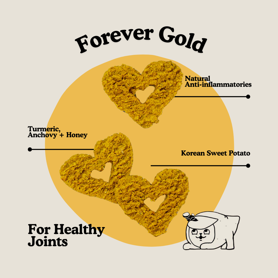 Gogoma  Turmeric + Anchovy Whole Food Dog Treat for Mobility