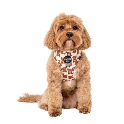 Teddy Bears Picnic Dog Harness