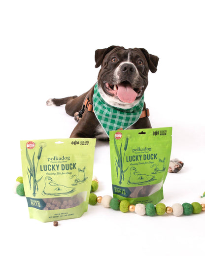 Polka Dog Lucky Duck Dog Treats