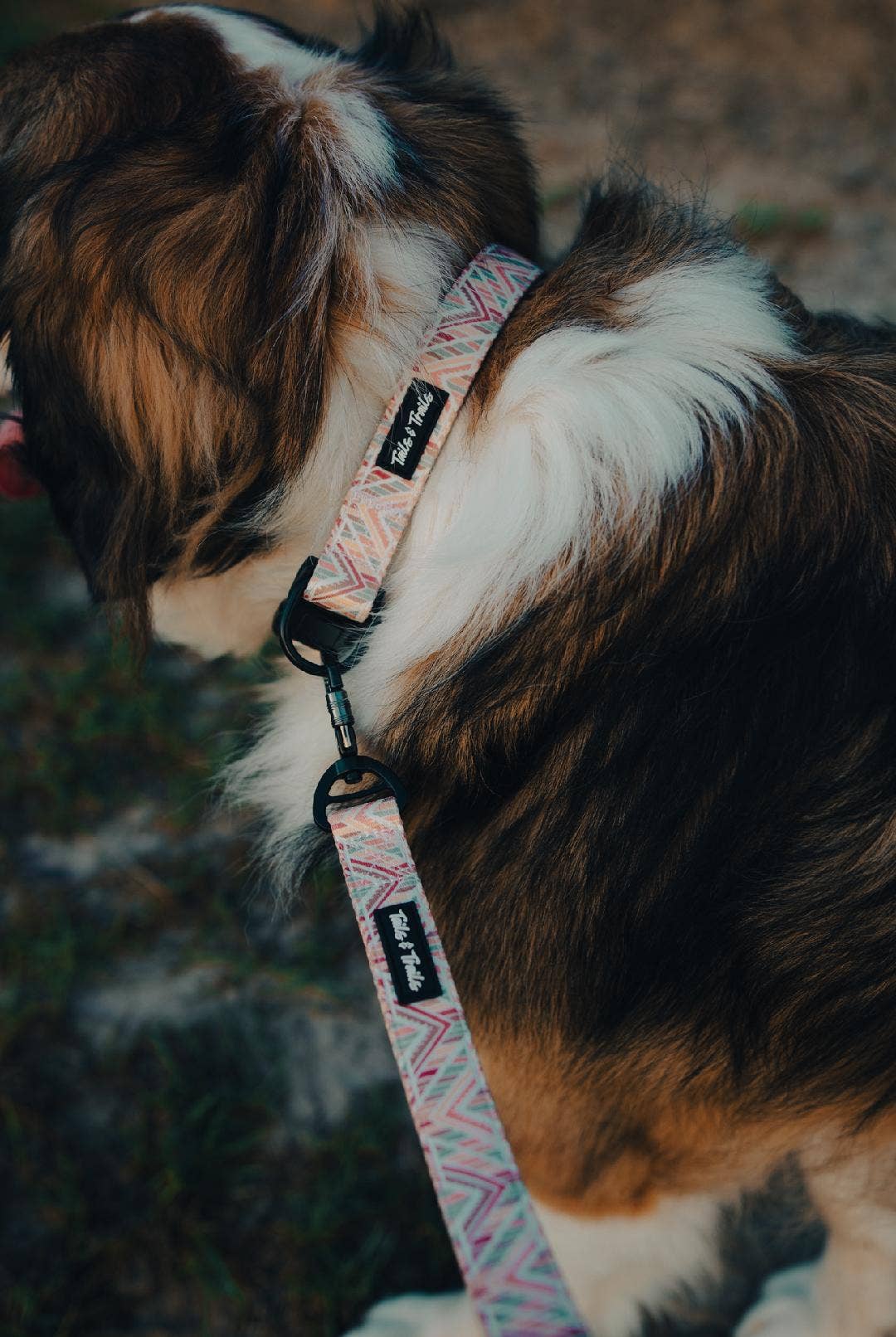Double Handle Golden Hour Trail Leash