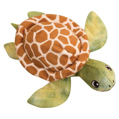 Sheldon The Turtle