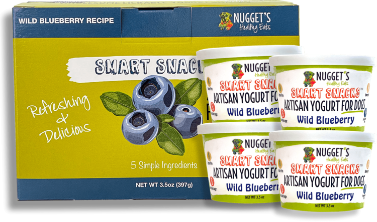 Nuggets Frozen Yogurt