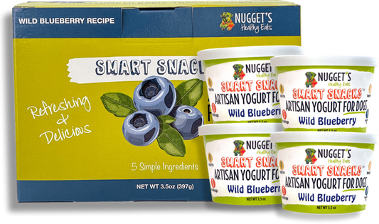 Nuggets Frozen Yogurt