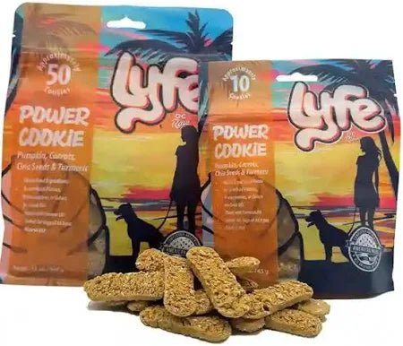 Oc Raw Lyfe Power Cookie Pumpkin & Chia