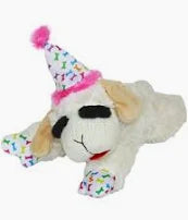 Birthday Lambchop