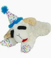 Birthday Lambchop