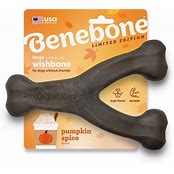 Benebone Pumpkin Spice Dog Toy