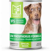 SquarePet Low Phosphorus Canned Dog Food 13oz