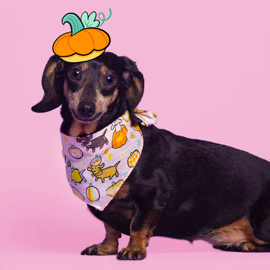 Hello Gourdgeous Dog Bandana